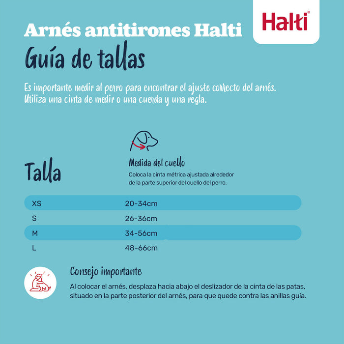 V4HF29CE7C65355E38E1A0BD4E3E18CB1B0R7523717P5
