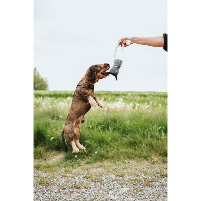 V4H9CC7D64017460EFA88AFF93C7940187BR5574736P3