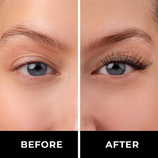 V4H47661358498BEF1114D978213EE6B706R5520353P2