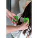 V8HCD5B7A1A273ED39702445BD27B677BADR4326730P2