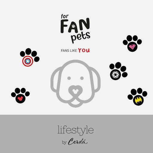 V4H80893AE6B741F8F90C078E7C00C074F6R5150408P2