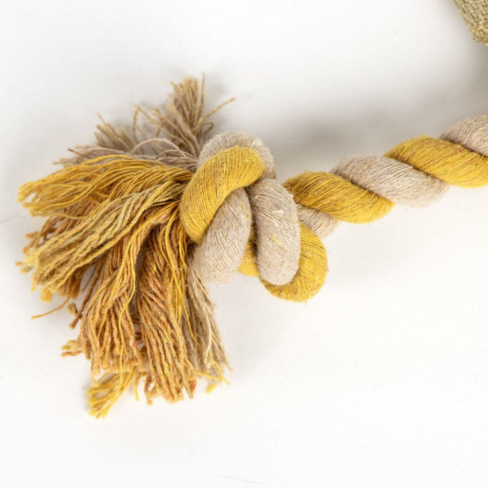 V5HC62D349A21144F52204CA5C3D3F5E5D7R5094605P4