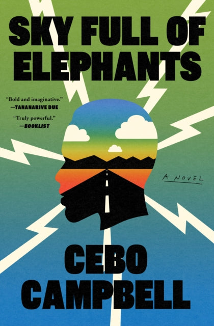 Sky Full of Elephants : A Novel